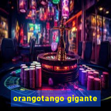 orangotango gigante